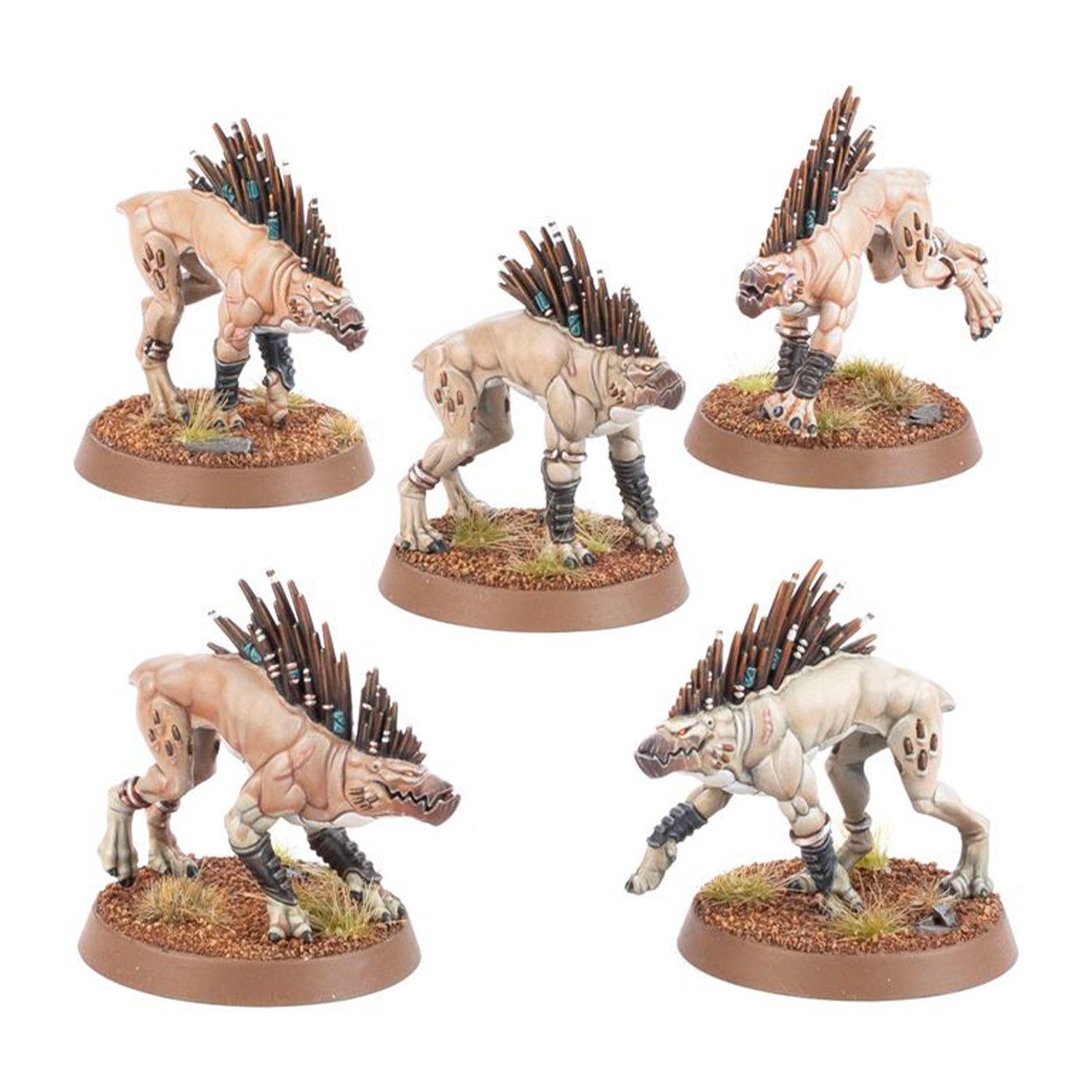 Kroot Hounds