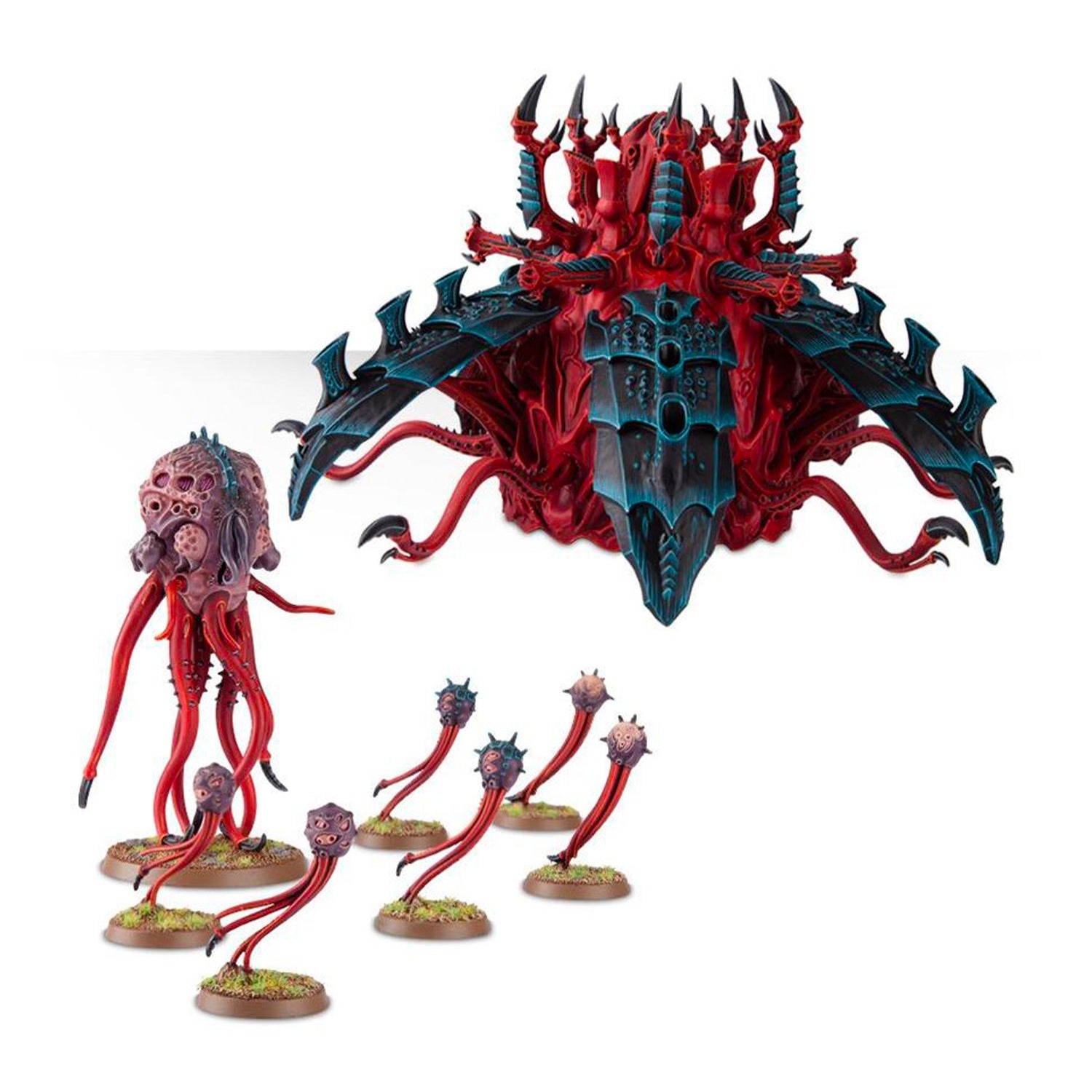 Sporocyst and Mucolid Spore